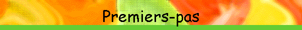 Premiers-pas